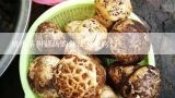 猪皮茶树菇汤的做法大全窍门,水鸭茶树菇汤的常见做法？