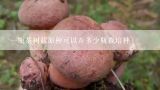 一瓶茶树菇原种可以弄多少瓶栽培种,茶树菇栽培真实技术？？？