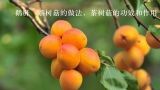 鹅肝焗茶树菇的做法，茶树菇的功效和作用