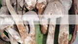 哪里有种植茶树菇鸡腿菇的,茶树菇的栽培技术