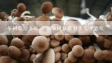 茶树菇泡多久 干的茶树菇要泡多久才能吃,干的茶树菇要泡多久才能吃