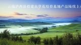 云南泸西县投建虫草花培育基地产品陆续上市