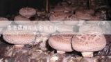 毒蘑菇图片大全及名称,17种常见毒蘑菇
