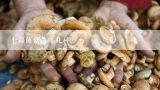 七彩菌菇是哪几种？常见的食用蘑菇