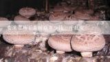 谁知道哪里有卖干的茶树菇的，多少钱一斤！最好是吉林市地区的！,干茶树菇多少钱一斤