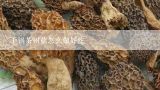 干锅茶树菇怎么做好吃,怎么做干锅茶树菇？