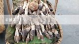茶树菇是什么?蜷苔的学名是什么，河南淅川一带山上长的一种植物，跟茶树菇像