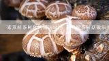 素蒸鲜茶树菇的做法窍门 素蒸鲜茶树菇做法步骤,茶树菇蒸多久才能熟 茶树菇蒸多长时间才能熟