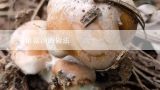 正宗菌菇汤的做法,菌菇汤的做法