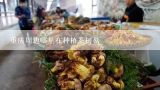 重庆周边哪里在种植茶树菇,古代茶树菇叫什么？