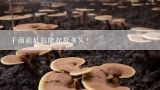 干菌菇最长能存放多久？茶树菇怎么保存 防潮很重要