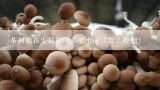 茶树菇在生长期间，肥水应该怎么控制？茶树菇种植时，都需要注意哪些事项？