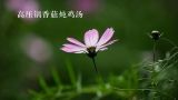 高压锅香菇炖鸡汤