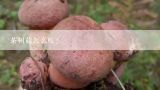 茶树菇怎么吃?茶树菇的营养价值
