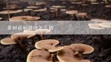 茶树菇焖猪肉怎么做,茶树菇烧肉做法 茶树菇烧肉的做法