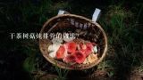 干茶树菇炖排骨的做法？杂烧茶树菇做法窍门