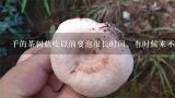 干的茶树菇吃以前要泡很长时间，有时候来不及，有没有什么方法能让它很快泡好？干茶树菇怎么做好吃呢？