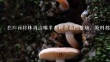 在广西桂林周边哪里有种香菇的基地，原料都能买到吗？广西哪里有蘑菇生产基地，地址，号码是多少？