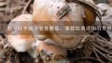 有一百平地下室养蘑菇，谁能给我详细的养殖方法和技术？养蘑菇怎么养殖方法