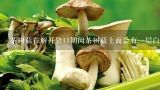 茶树菇在解开袋口期间茶树菇上面会有一层白色的薄膜,茶树菇磨菇头下面那层白色的是什么？是否能吃？