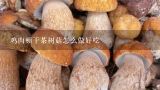 鸡肉顿干茶树菇怎么做好吃,茶树菇炖鸡的做法怎么做？