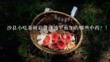 沙县小吃茶树菇排骨汤里面加的哪些中药？！,鲜茶树菇排骨汤的做法