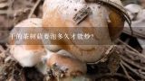 干的茶树菇要泡多久才能炒？干茶树菇泡多久能吃茶树菇干泡多久可以吃？