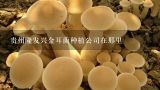贵州隆发兴金耳菌种植公司在那里,金耳菌种植是真的吗