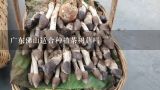广东佛山适合种植茶树菇吗,种植茶树菇需要些什么设备？