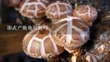 邵武产脆鹿茸菇吗,巴楚蘑菇：新疆最娇贵的蘑菇，深山中大自然赐予新疆