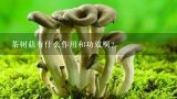 茶树菇有什么作用和功效啊？