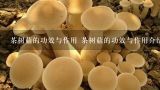 茶树菇的功效与作用 茶树菇的功效与作用介绍,茶树菇的功效与作用及禁忌，茶树菇的营养价值及功效