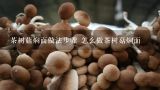 茶树菇焖面做法步骤 怎么做茶树菇焖面,干茶树菇的做法？