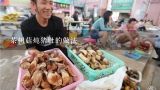茶树菇炖猪肚的做法,猪肚排骨茶树菇可以一起吃吗