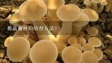 蘑菇菌种的培育方法？磨菇菌种的培育方法