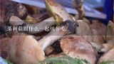茶树菇跟什么一起炖好吃,香菇和茶树菇能不能一起炖？？