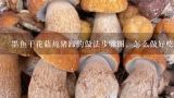 墨鱼干花菇炖猪蹄的做法步骤图，怎么做好吃,干花菇的泡发家常做法？