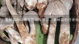 茶树菇的功效与作用及禁忌，茶树菇的营养价值及功效,茶树菇的营养价值 茶树菇的功效与作用