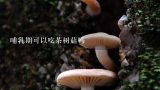 哺乳期可以吃茶树菇吗,哺乳期可以吃茶树菇大骨汤吗？