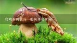 乌鸡茶树菇汤一般炖多长时间,孕妇吃乌鸡炖茶树菇好吗