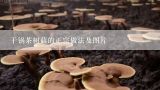 干锅茶树菇的正宗做法及图片,家常菜谱大全及做法图片大全2014