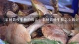 茶树菇炒牛柳的做法，茶树菇炒牛柳怎么做好吃,茶树菇牛柳做法