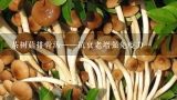 茶树菇排骨汤——抗衰老增强免疫力,排骨炖茶树菇汤的功效