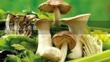 松菌怎么吃法,松茸的吃法及做法