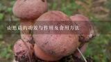 山慈菇的功效与作用及食用方法,山慈菇种植利润？