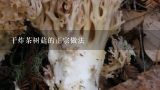 干炸茶树菇的正宗做法,炸茶树菇的家常做法大全怎么做好吃视频