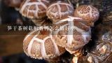 笋干茶树菇焖番鸭怎么做好吃,如何做茶树菇番鸭汤