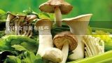 高档食用菌有哪些,十大最好的菌菇排名是什么？