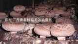油豆干香炒茶树菇是怎么做的,干茶树菇炒猪杂的做法?