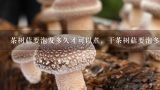 茶树菇要泡发多久才可以煮，干茶树菇要泡多久,干茶树菇的需要泡多久